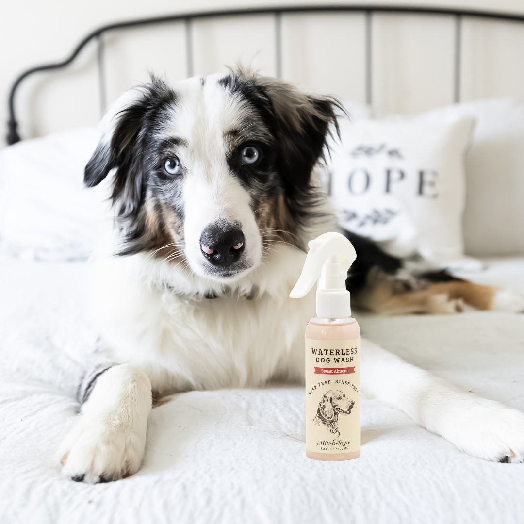 Sweet Almond | Rinse-Free Dog Wash – MIXOLOGIE