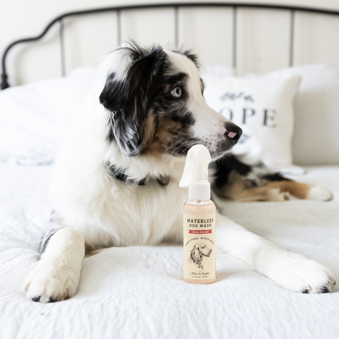 Sweet Almond | Waterless Dog Wash – MIXOLOGIE