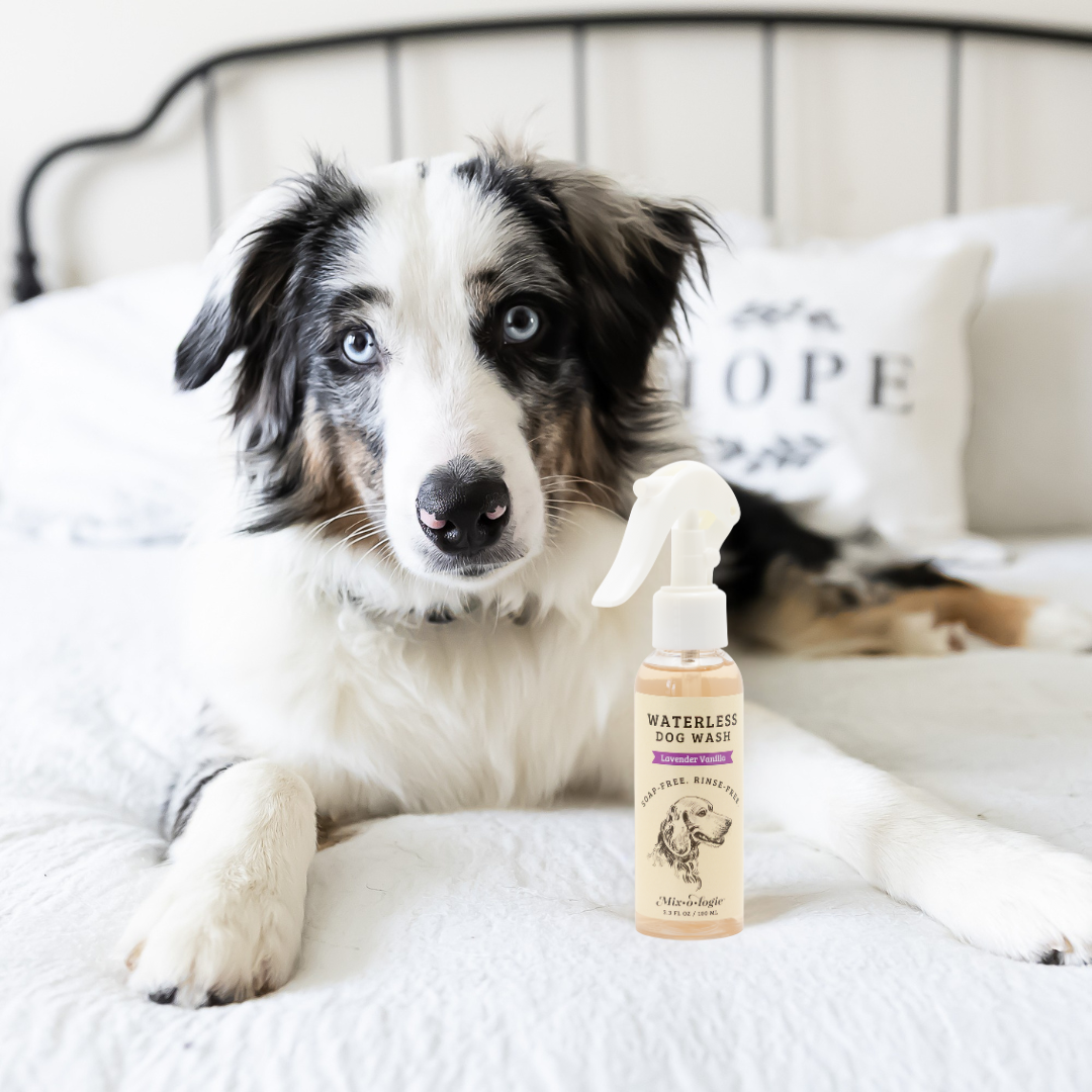 Lavender Vanilla | Rinse-Free Dog Wash – MIXOLOGIE