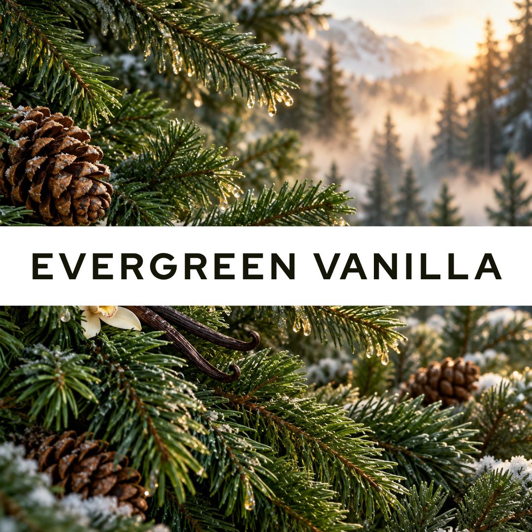 Evergreen Vanilla