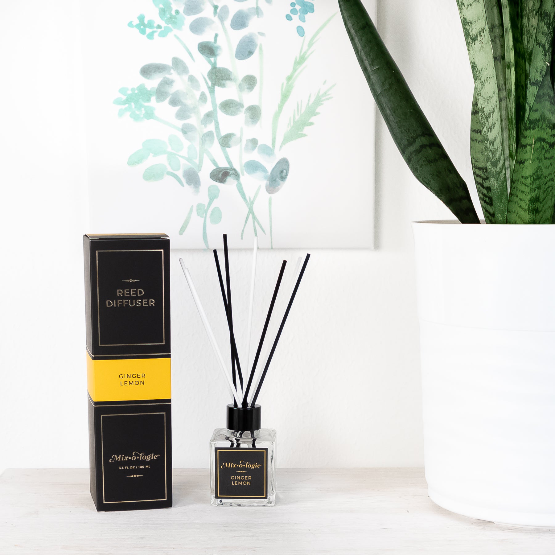 Ginger Lemon Reed Diffuser is a clear square glass container with black label that says Mixologie – Ginger Lemon. Has a black top and 4 white & 4 black reed sticks coming out of top, is 3.3 fl oz or 100 mL of clear scented liquid. Black rectangle package box with mustard label. Box and diffuser are pictured with white furniture and white potted plant and green artwork.